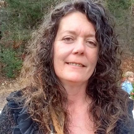 Website Development Website Developer Graphic Designer